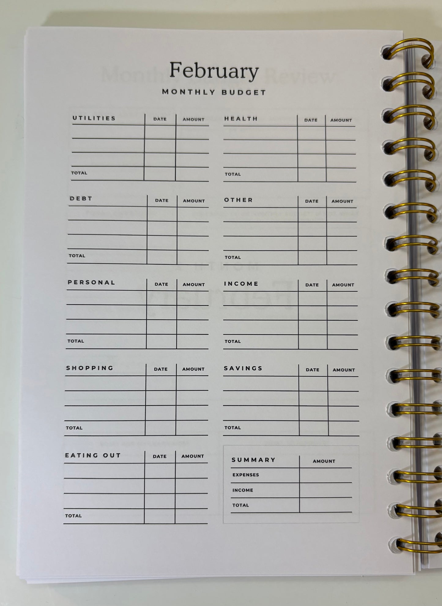 Monthly budget planner with a focus on February, showing categories like utilities, health, debt, personal, income, shopping, and eating out.