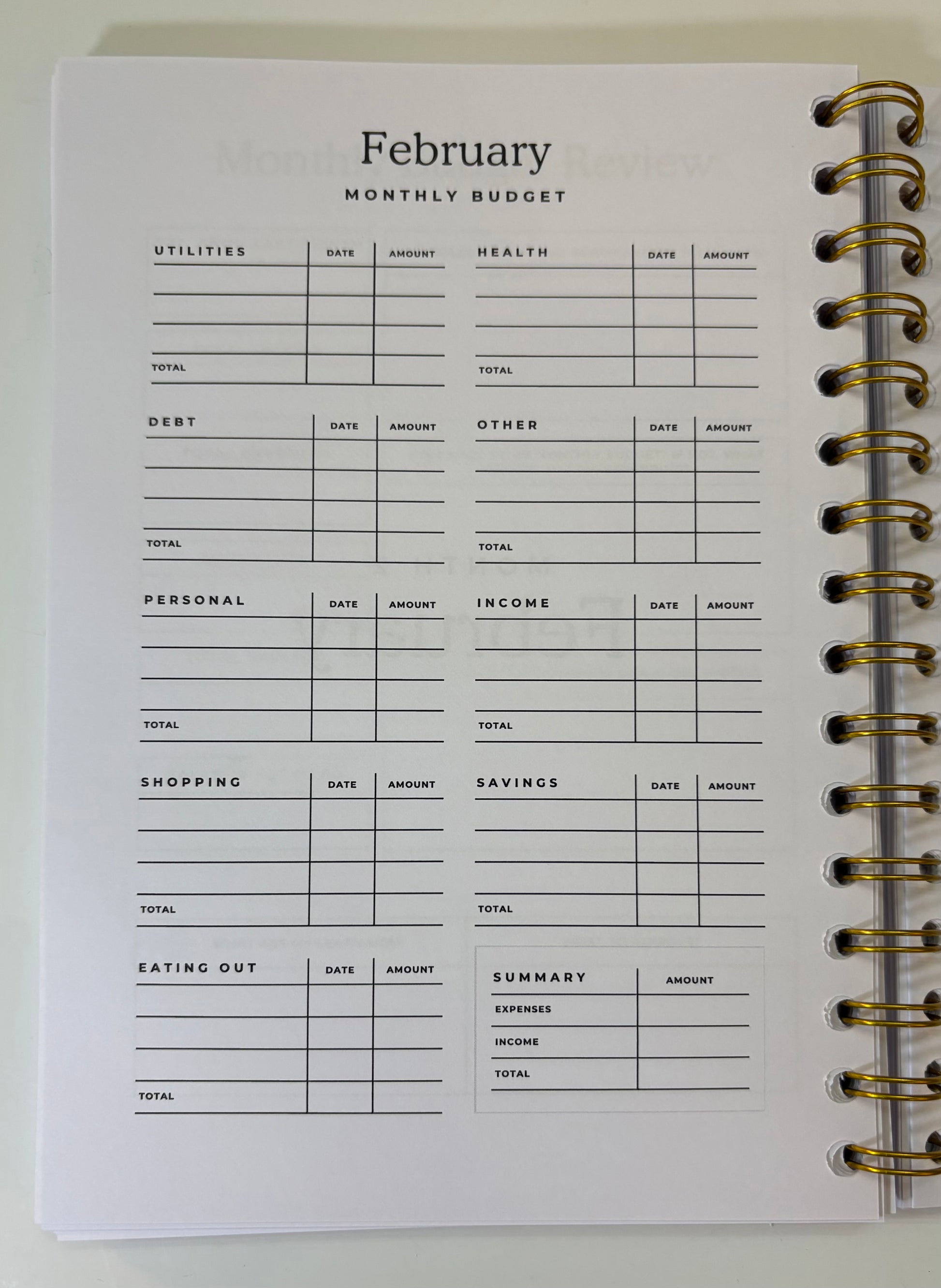 Monthly budget planner with a focus on February, showing categories like utilities, health, debt, personal, income, shopping, and eating out.